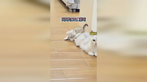 哈哈，打不过就跑