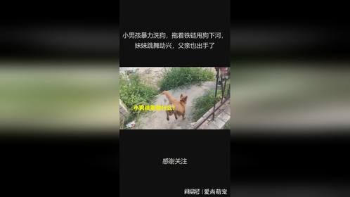 小男孩暴力洗狗，拖着铁链甩狗下河，妹妹跳舞助兴，父亲也出手了