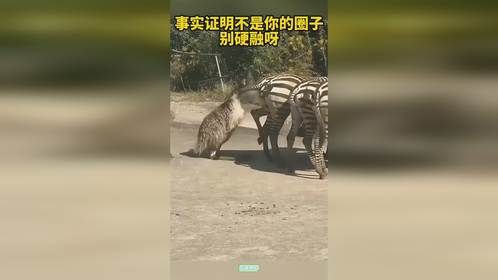 事实证明不是一个圈，别硬进