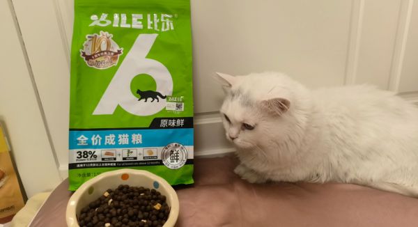 2025年宠物饮食升级：从宠物鲜粮是什么，看比乐如何创新犬猫喂养