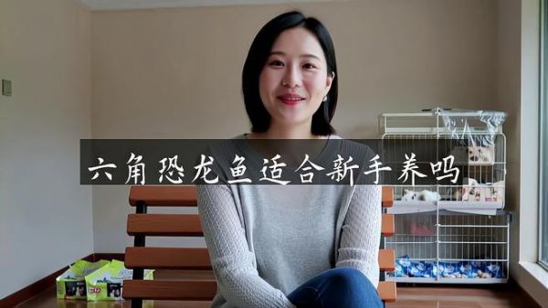 恐龙鱼用什么鱼缸养最好活