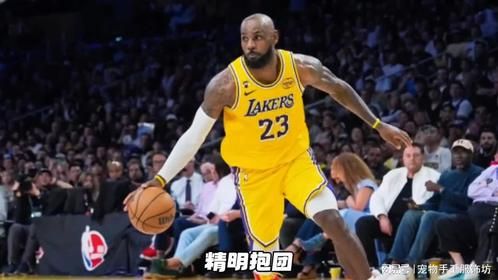 詹姆斯篮球传奇再续