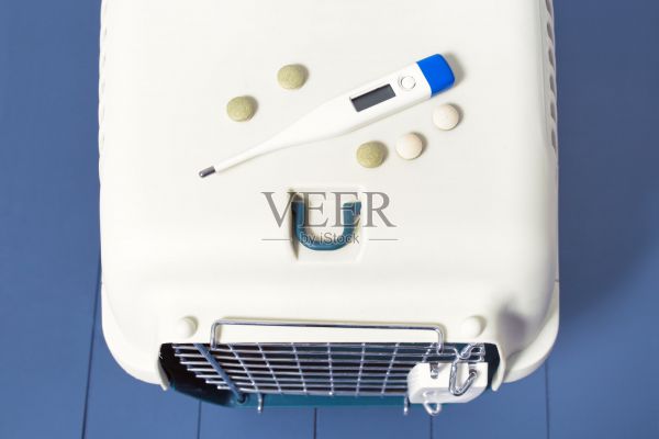 带医用体温计和药片的宠物笼。兽医诊所和猫狗急救的概念照片摄影图片