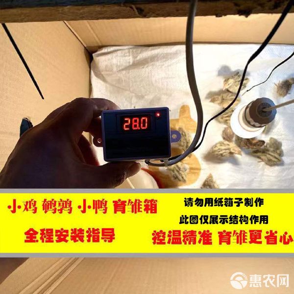 热风炉 小鸡保温箱自动控温鹌鹑保温箱小鸟宠物育雏保温自动加热