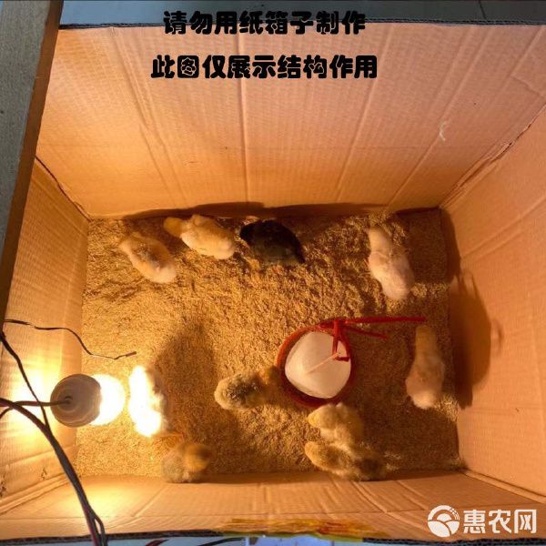 热风炉 小鸡保温箱自动控温鹌鹑保温箱小鸟宠物育雏保温自动加热