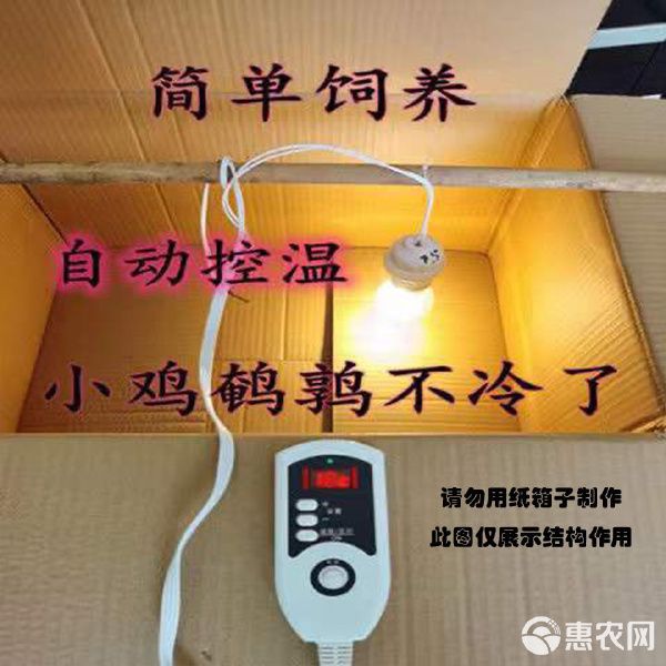热风炉 小鸡保温箱自动控温鹌鹑保温箱小鸟宠物育雏保温自动加热