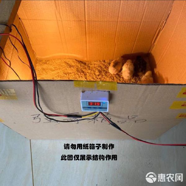 热风炉 小鸡保温箱自动控温鹌鹑保温箱小鸟宠物育雏保温自动加热