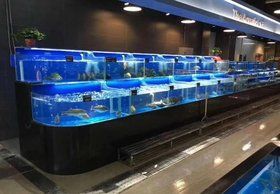 广州美人鱼鱼缸定做厂家_深圳海豚海狮美人鱼表演展览出租