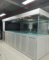 定做大排档移动海鲜池_清远超白海鲜池缸厂_深圳海豚表演展览出租