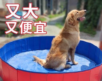 农村给宠物狗洗澡的好处（让爱宠更健康——农村洗澡的优势与方法）