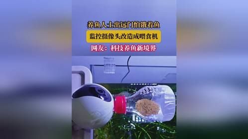 养鱼人士出远门怕饿着鱼，监控摄像头改造成喂食机，网友：科技养鱼新境界