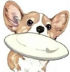 为了狗狗的健康，请耐心看完这十条狗狗健康建议，绝对受益匪浅