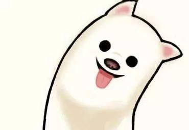 为了狗狗的健康，请耐心看完这十条狗狗健康建议，绝对受益匪浅