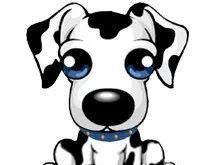 为了狗狗的健康，请耐心看完这十条狗狗健康建议，绝对受益匪浅