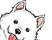 为了狗狗的健康，请耐心看完这十条狗狗健康建议，绝对受益匪浅