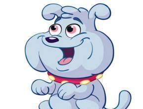 为了狗狗的健康，请耐心看完这十条狗狗健康建议，绝对受益匪浅