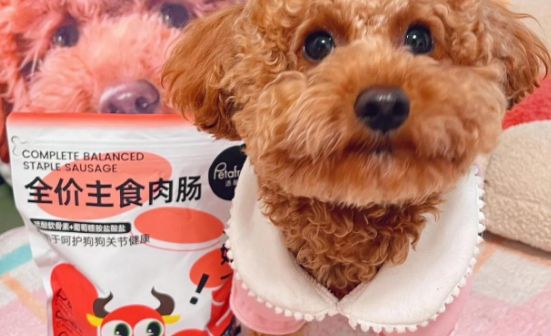 狗狗爱吃什么品牌的零食？派膳师肉肠，多口味，满足挑剔味蕾！