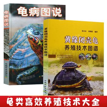 【【共2册】黄缘闭壳龟养殖+龟病图说 】 正版黄缘闭壳龟养殖技术图谱 乌龟疾病诊断与治防爬行动物异宠诊疗乌龟鳖高效养殖技术图解手册养龟书籍大全 【发货以标题中括号内书籍为准】