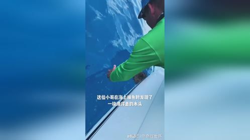 国外小哥在海上发现一块漂浮着的木头