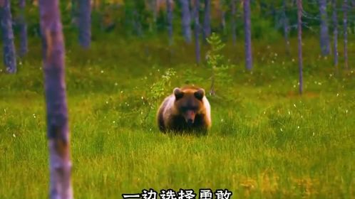 成长最快的方式就是硬着头皮上