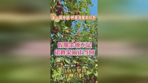 首届中国·怀来海棠文化节，错峰采摘正当时！