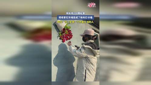 网友用200颗松果，把老家石灰墙变成了新年打卡墙，网友：你一定是一个热爱生活的人