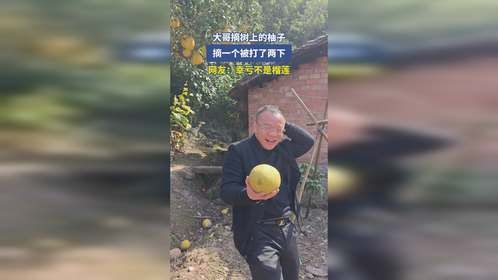 大哥摘树上的柚子，摘一个被打了两下，网友：幸亏不是榴莲