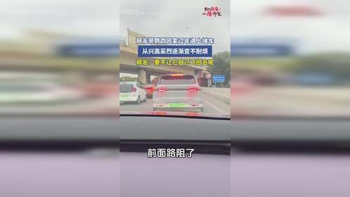 网友带鹦鹉回家过年遇上堵车，从兴高采烈逐渐变不耐烦，网友：要不让它自己飞回去呢