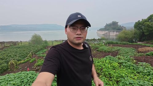 重庆石宝寨，长江上的一座孤岛，保存有百年木构建筑，没有一根铁