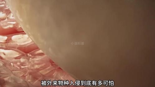 主人你好，我是你的肛门，你真的不要在这样糟蹋我了。