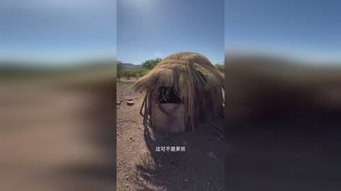 非洲原始部落的酋长有多幸福