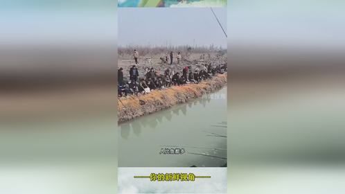 这鱼犯天条了吗