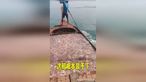 这船根本就装不下呀