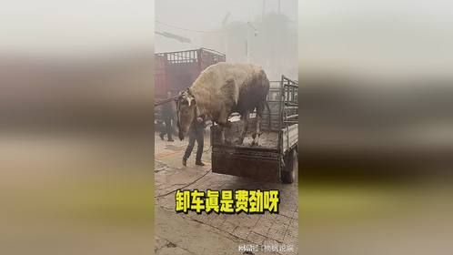 卸车也太费劲了吧