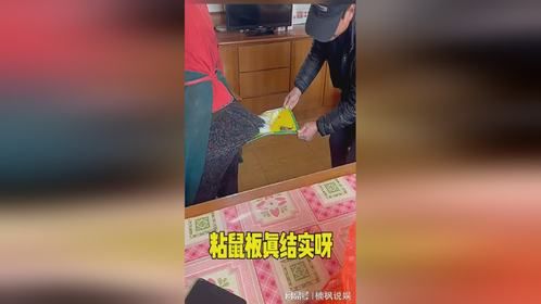 粘鼠板真是太结实了