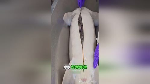 你喜欢吃鱼子酱吗？