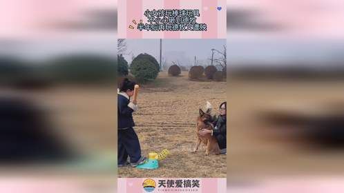 小女孩玩棒球玩具，不小心砸到德牧，半年后再玩德牧又遭殃！