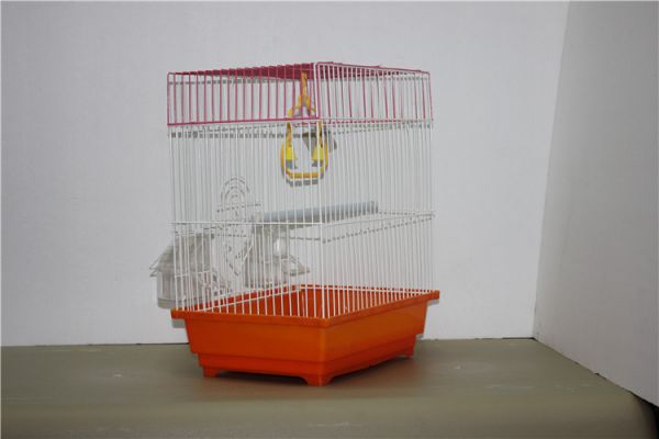 优质鸟笼 宠物笼供应商 批发鸟笼就到久诚 鹦鹉笼 八哥笼批发详情8