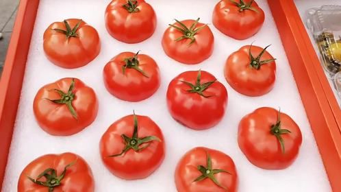 泾阳西红柿品鉴推介会在西安举行