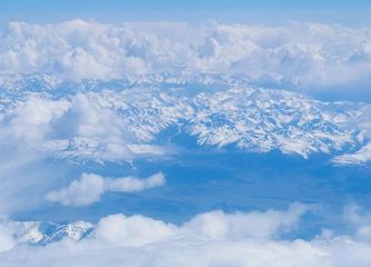 夏天仓鼠怎么饲养