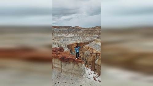 老师教的我全忘了 但社会教的我一直都铭记于心