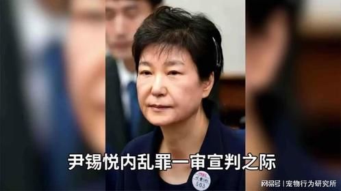 尹锡悦一审宣判，朴槿惠涉债务案