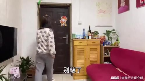 老公调皮喊大姐，媳妇气欲换夫