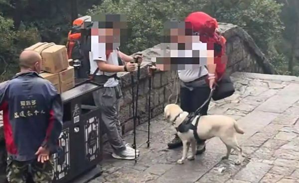 盲人带导盲犬爬泰山引争议，“键盘审判”不可取