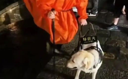 盲人带导盲犬爬泰山引争议，“键盘审判”不可取