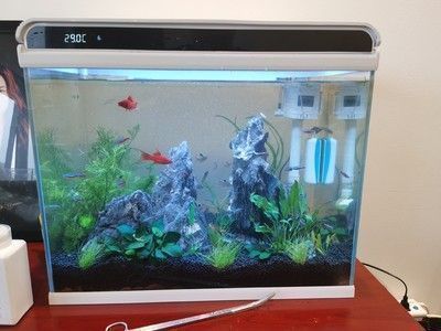 名亨水族鱼缸一天耗多少度电（鱼缸一天耗电量）（名亨水族鱼缸一天用多少电？）