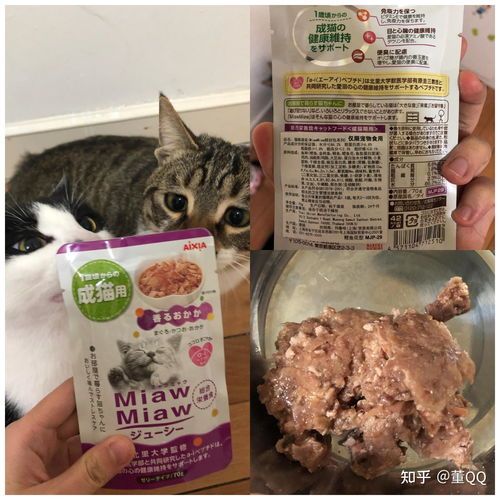 宠物猫主食罐头怎么吃