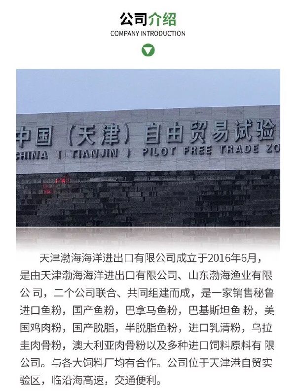 宠物饲料 蛋白质补充饲料批发高蛋白乌拉圭牛肉骨粉 猫粮狗粮