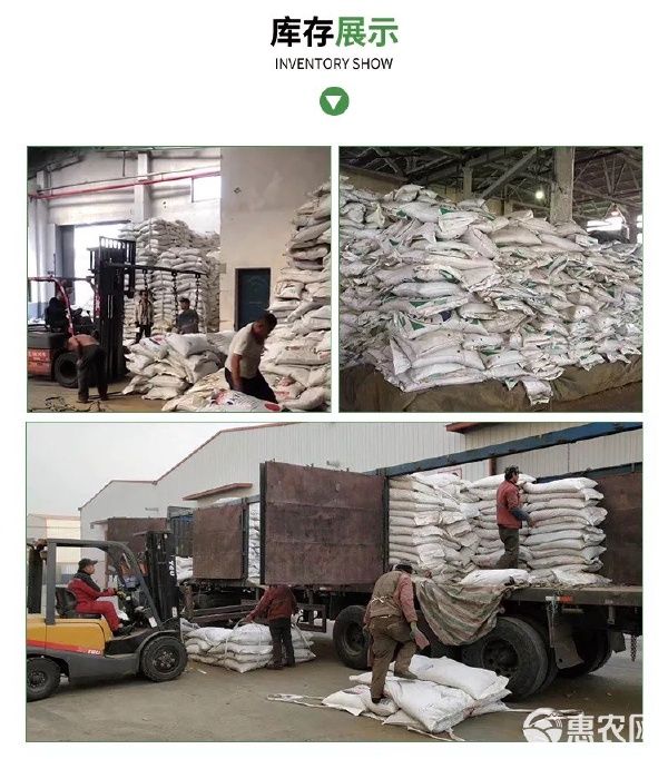 宠物饲料 蛋白质补充饲料批发高蛋白乌拉圭牛肉骨粉 猫粮狗粮