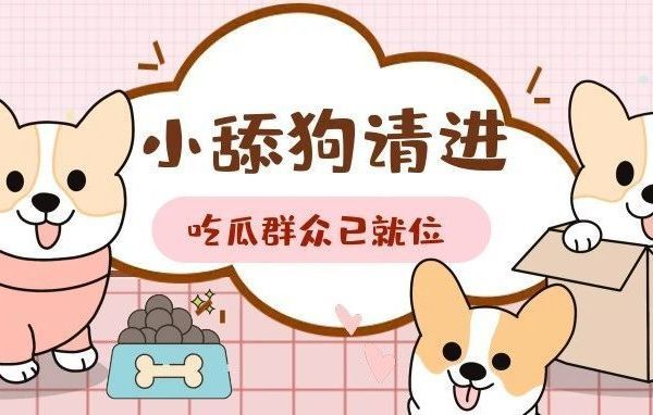 测评 | 素力高狗粮最新检测结果来啦，吃瓜群众请就位！